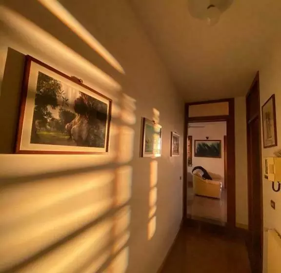 B&b Stars And Stripes