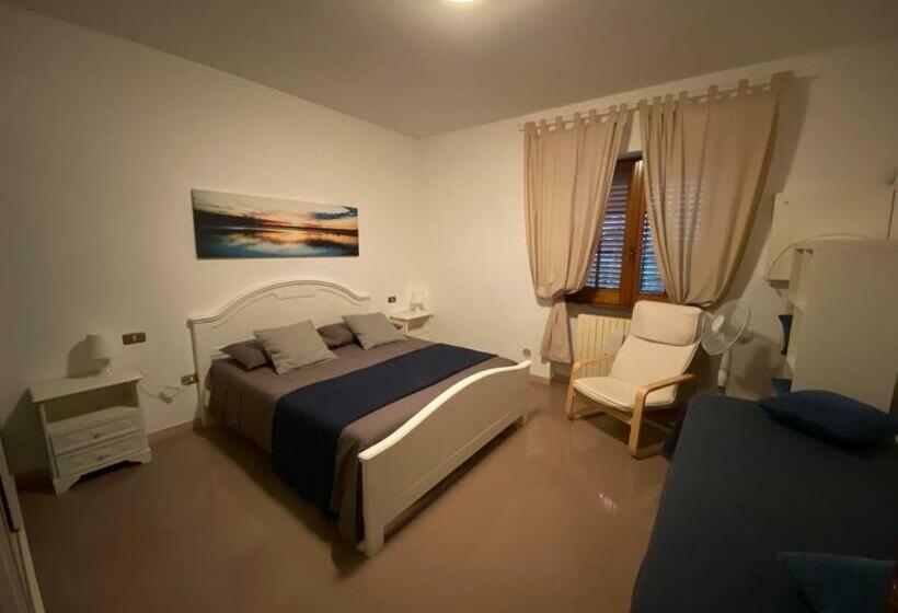 B&b Stars And Stripes