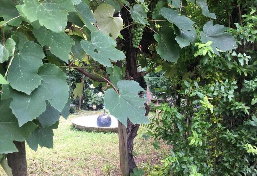 تختخواب و صبحانه Alla Rotonda Dai Santi