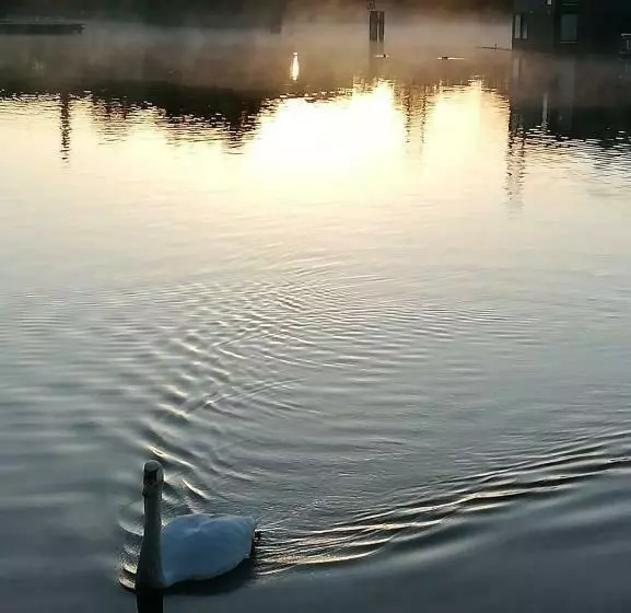 تختخواب و صبحانه Houseboat Studio Sooki
