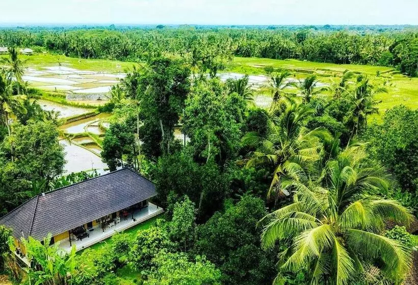 Majatalo Bucu Hidden Guest House, And Meditation Center