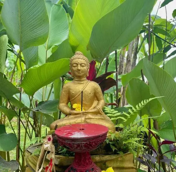 Majatalo Bucu Hidden Guest House, And Meditation Center