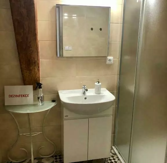 ペンション Penzion U Kapitána