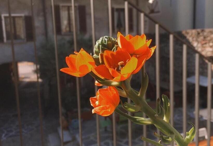 민박 Antica Sosta Dei Viandanti