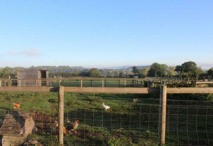 Bed and Breakfast Mapperton Hill Farm