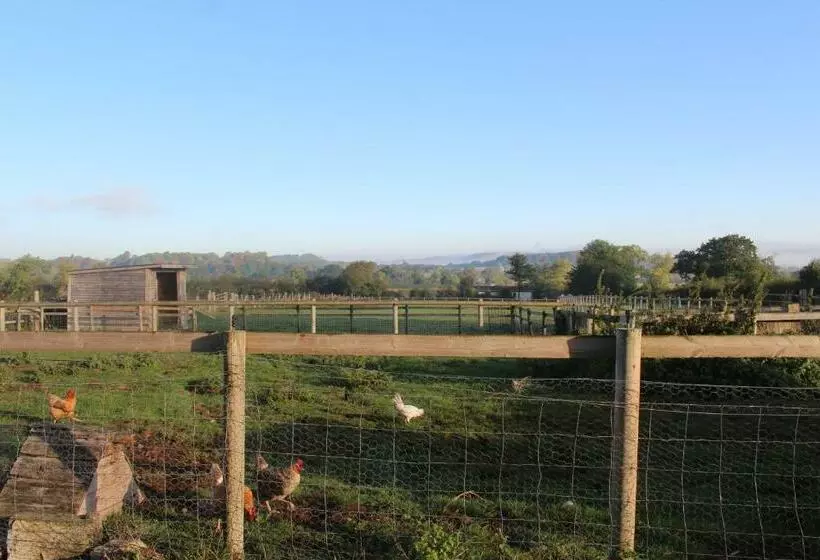 ベッドアンドブレックファースト Mapperton Hill Farm