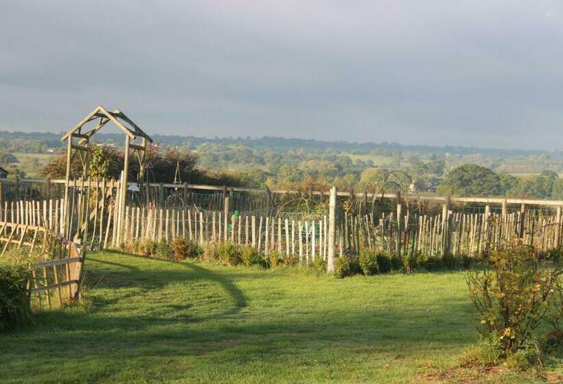 Bed and Breakfast Mapperton Hill Farm