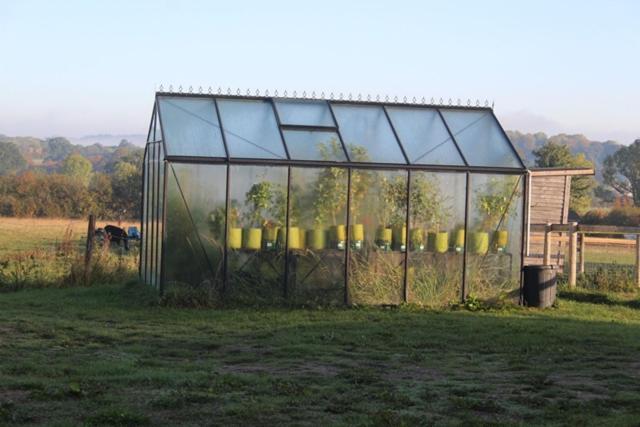 Bed and Breakfast Mapperton Hill Farm