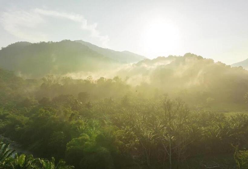 בית מלון כפרי Kachonghills Tented Resort Trang