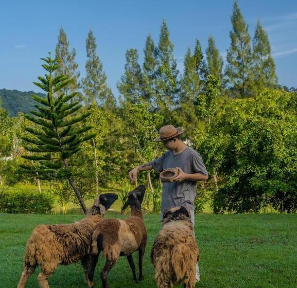 בית מלון כפרי Kachonghills Tented Resort Trang