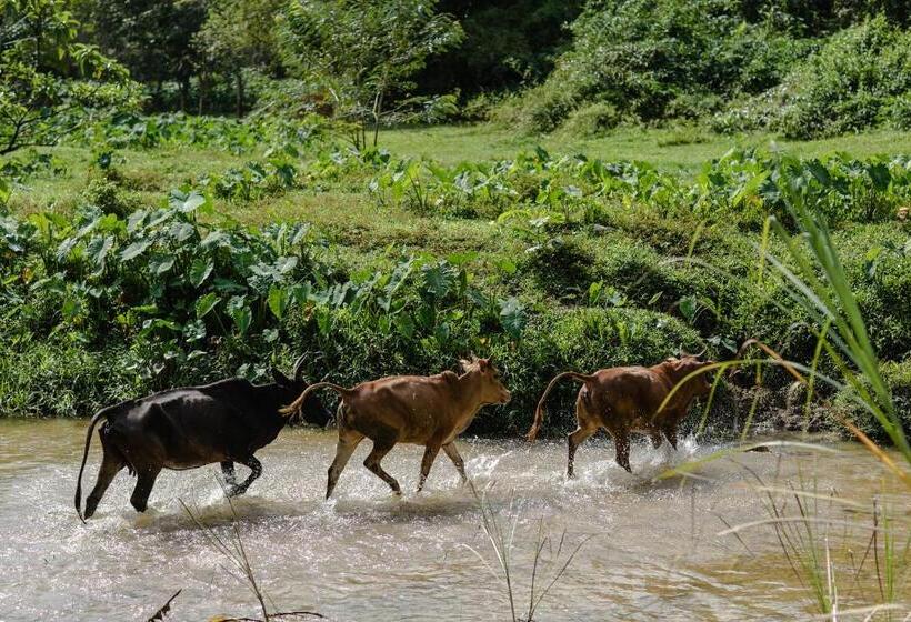 בית מלון כפרי Kachonghills Tented Resort Trang