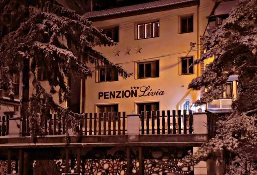 ホテル Penzionlivia,tr.teplice