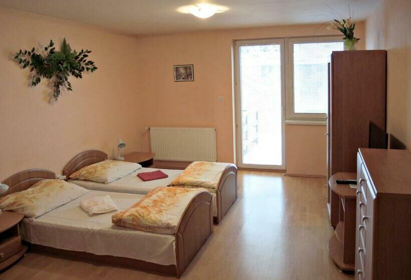 ホテル Penzionlivia,tr.teplice