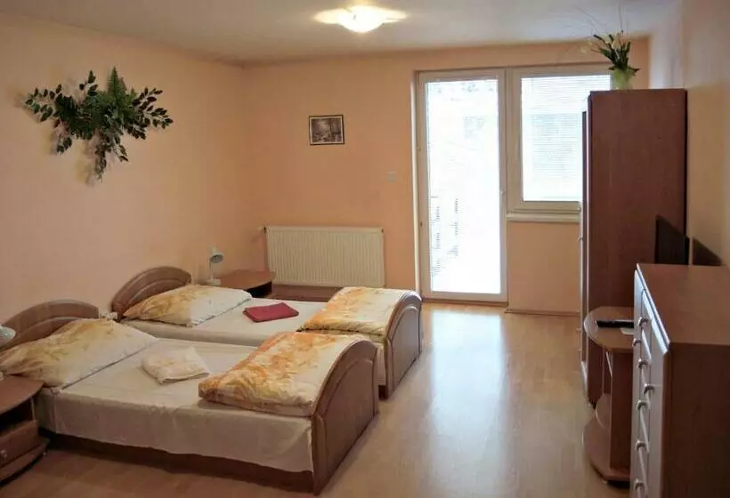 ホテル Penzionlivia,tr.teplice