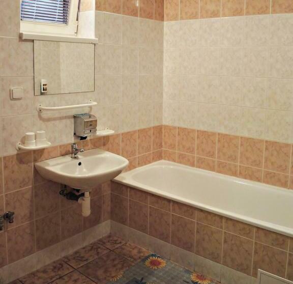 ホテル Penzionlivia,tr.teplice