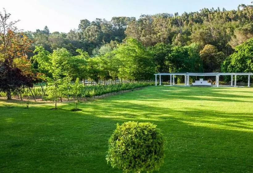 Majatalo Caledon Grace Guesthouse