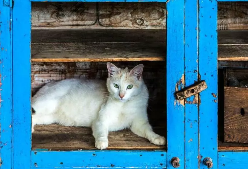 Majatalo Caledon Grace Guesthouse