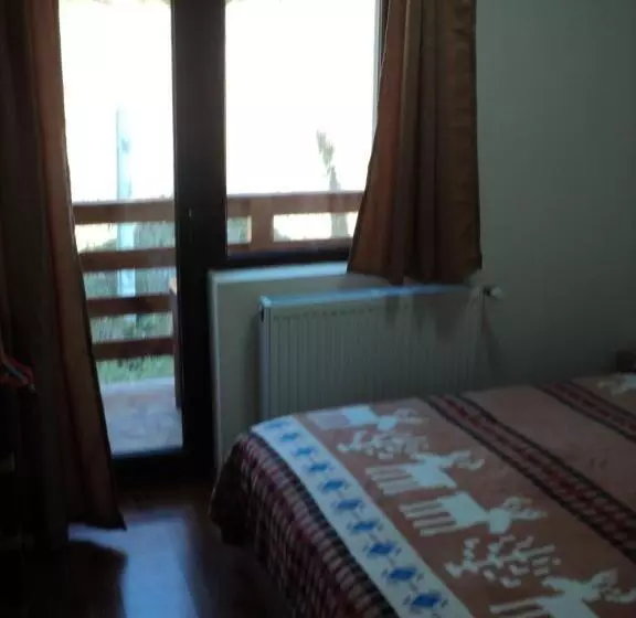 ペンション Casa Haiducilor