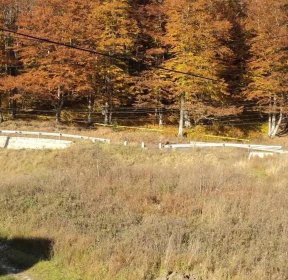 ペンション Casa Haiducilor