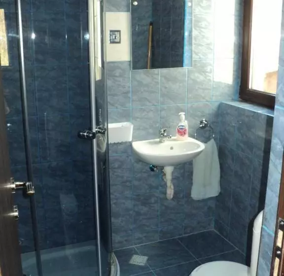 ペンション Casa Haiducilor