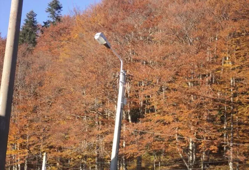 ペンション Casa Haiducilor