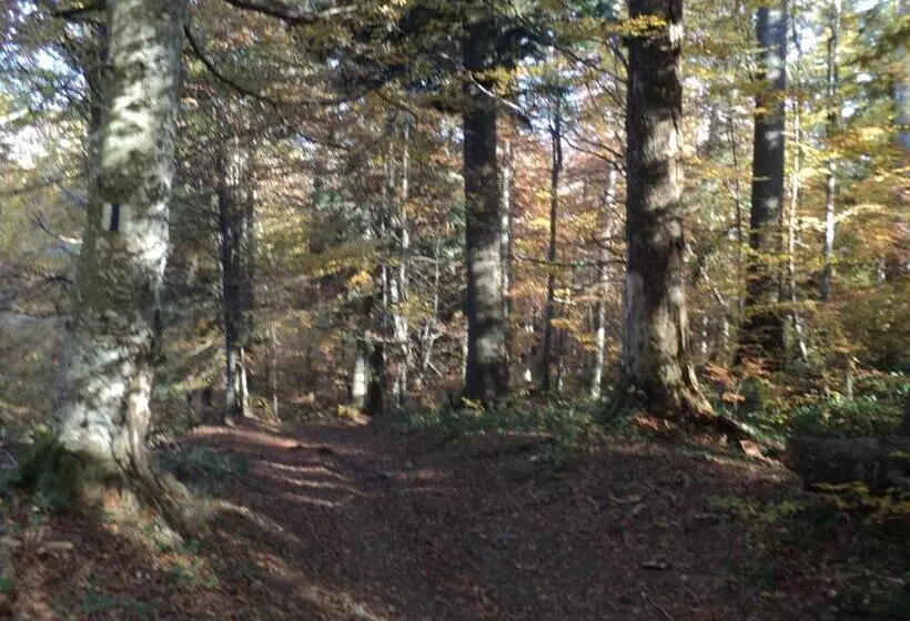 ペンション Casa Haiducilor