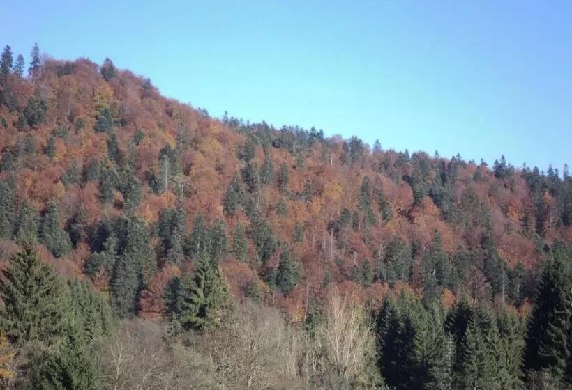 ペンション Casa Haiducilor