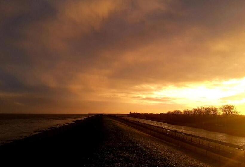 Pensão Private Logies Texel Woodart