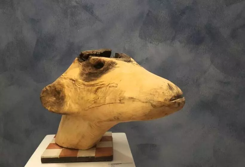 Majatalo Private Logies Texel Woodart