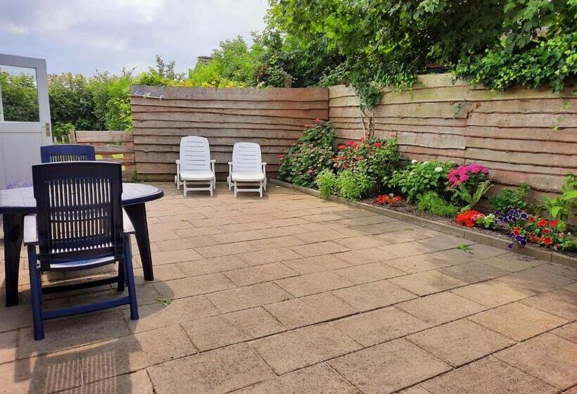 Pensão Private Logies Texel Woodart