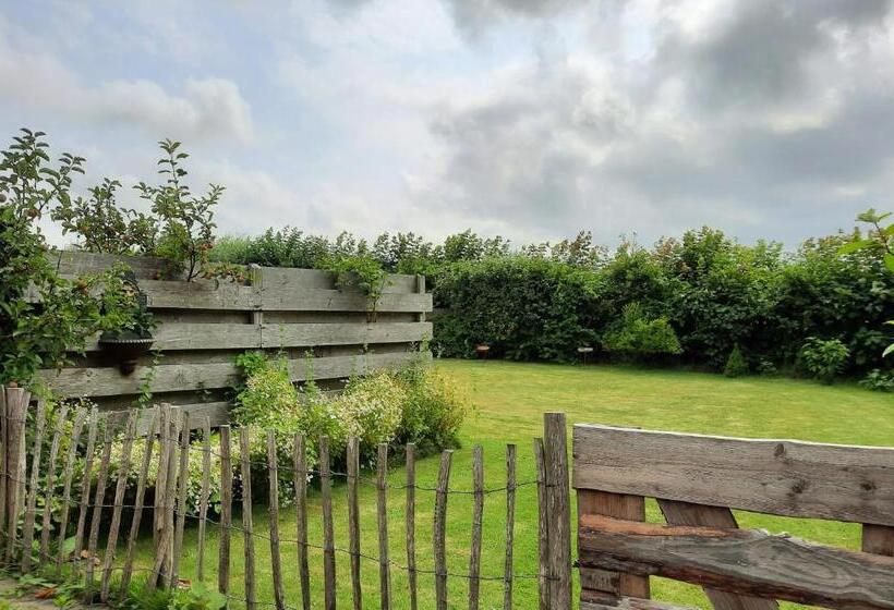 Pensão Private Logies Texel Woodart