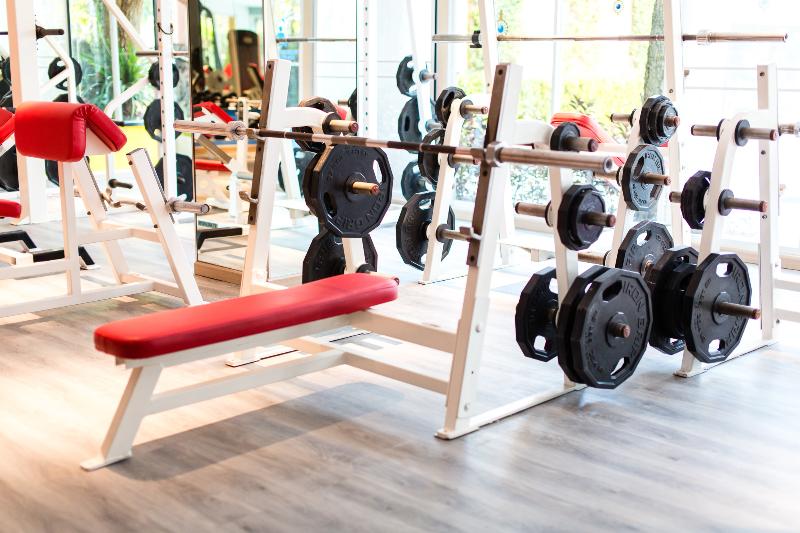 בית מלון כפרי Sheik