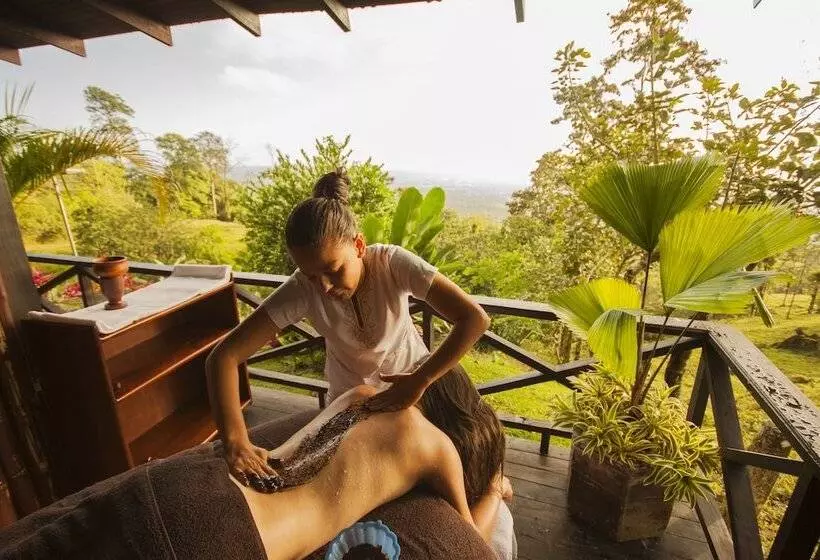 فندق Arenal Waterfall Lodge