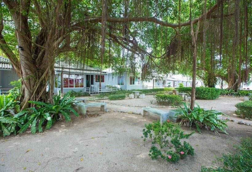 בית מלון כפרי Da Kanda Villa Beach Resort