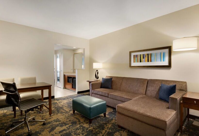 فندق Embassy Suites By Hilton Denver Downtown Convention Center