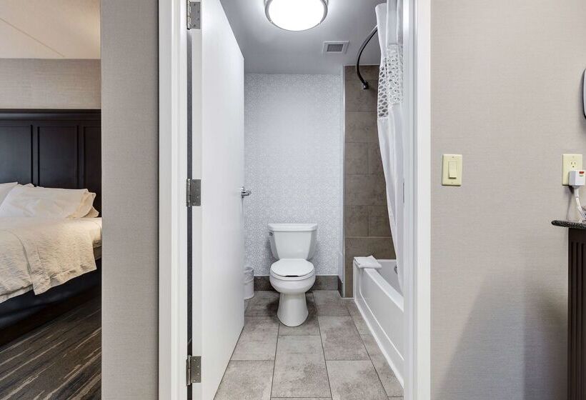 ホテル Hampton Inn & Suites By Hilton Brantford Conference Centre