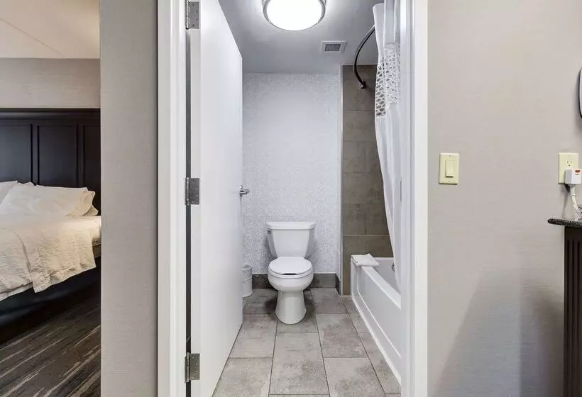 酒店 Hampton Inn & Suites By Hilton Brantford Conference Centre
