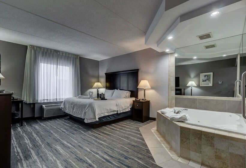 ホテル Hampton Inn & Suites By Hilton Brantford Conference Centre