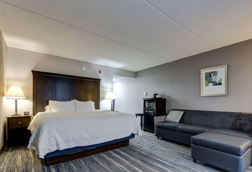 ホテル Hampton Inn & Suites By Hilton Brantford Conference Centre