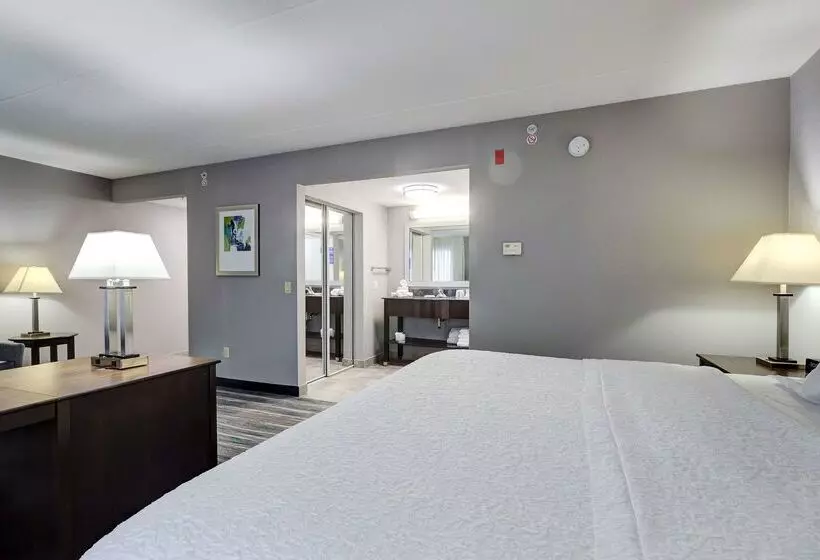 酒店 Hampton Inn & Suites By Hilton Brantford Conference Centre