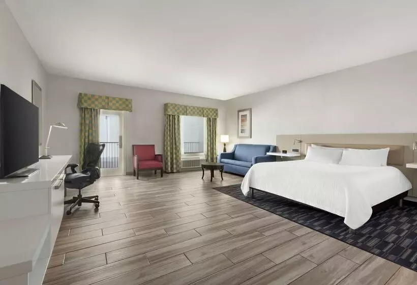 ホテル Hilton Garden Inn South Padre Island Beachfront