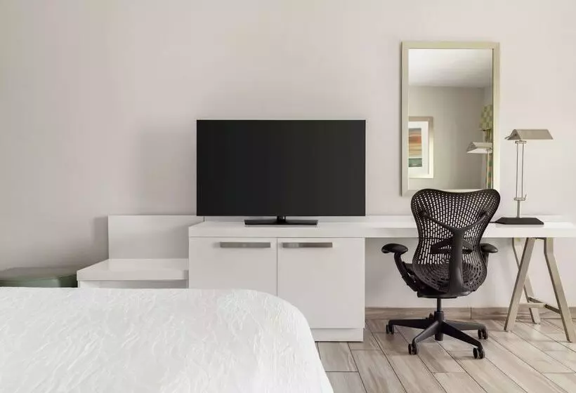 ホテル Hilton Garden Inn South Padre Island Beachfront