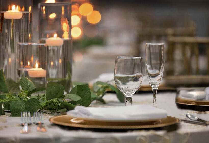 ホテル Hilton Garden Inn South Padre Island Beachfront