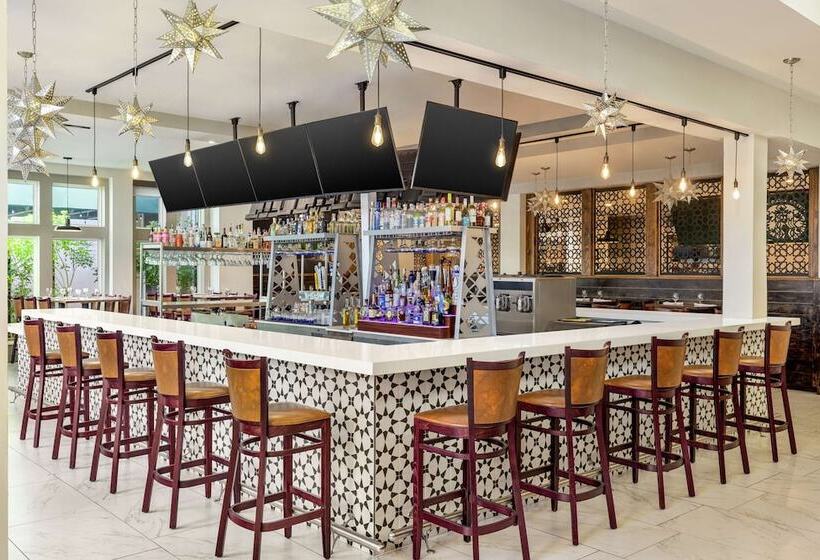 ホテル Hilton Garden Inn South Padre Island Beachfront