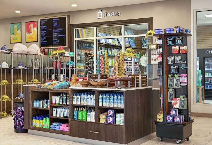 ホテル Hilton Garden Inn South Padre Island Beachfront