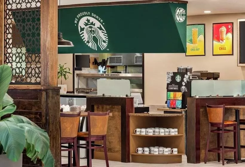 ホテル Hilton Garden Inn South Padre Island Beachfront