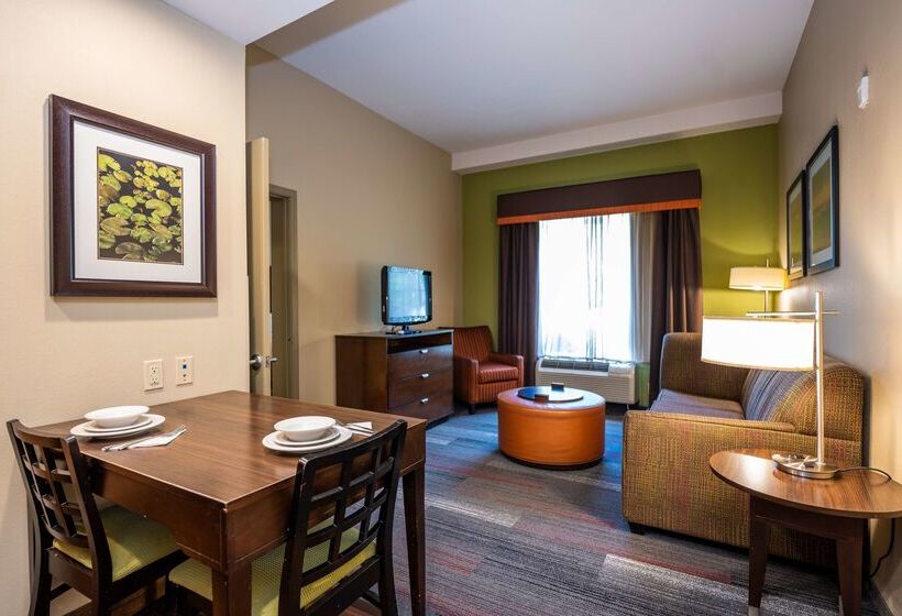 酒店 Homewood Suites By Hilton Birmingham Sw Riverchase Galleria