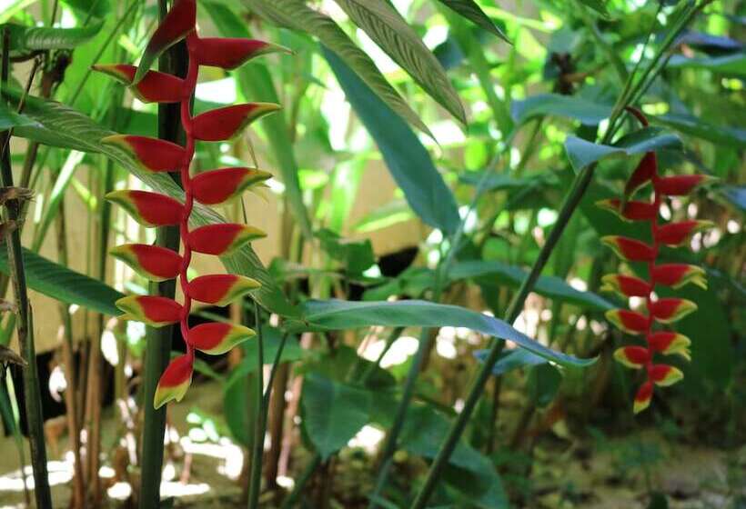 Отель Palita Lodge   Sha Plus