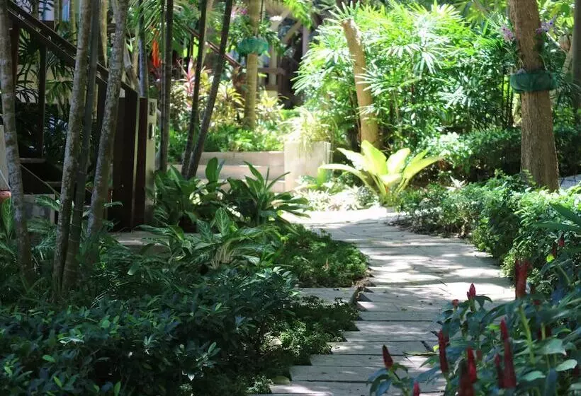 בית מלון כפרי Palita Lodge   Sha Plus