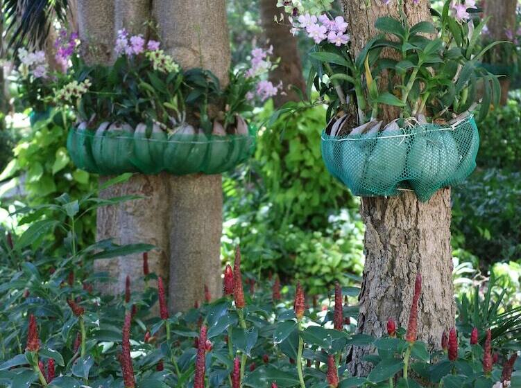 Отель Palita Lodge   Sha Plus